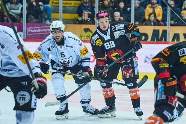  SC Bern vs. Fribourg-Gotteron (Game 1.) | 14.03.2025