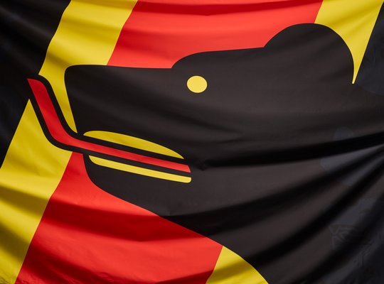 Kevin Zürcher Kevin Zürcher