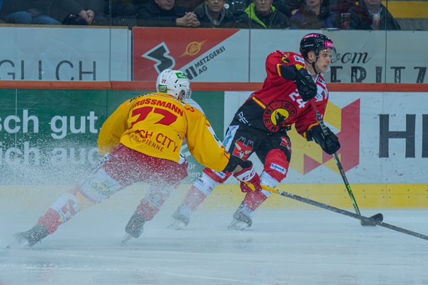  SCB vs. EHC-Biel | 04.02.2023