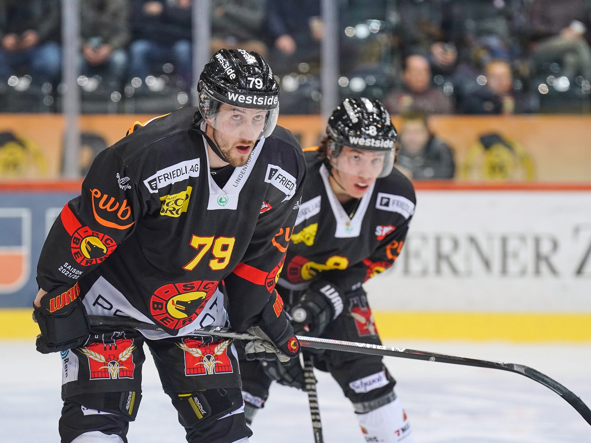 eishockey live stream scb